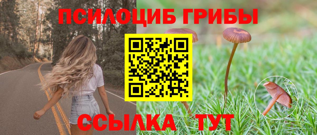 Сертолово  Галлюциногенные грибы прущие грибы  Вход с VPN 